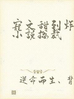 宠文甜到炸无虐小说总裁