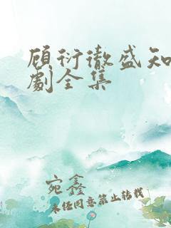 顾衍彻盛知夏短剧全集