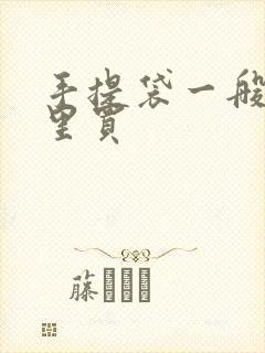 手提袋一般去哪里买