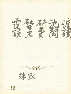 霍启研沈渡云小说免费阅读最新章节