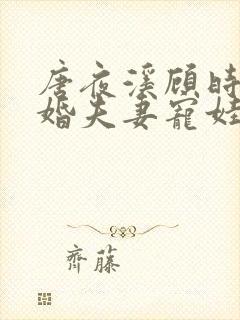 唐夜溪顾时暮闪婚夫妻宠娃日常