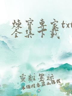 炼宝专家txt全集下载