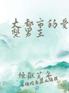 大都市的爱情法双男主