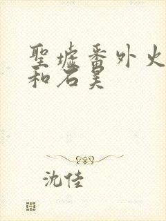 圣墟番外火灵儿和石昊