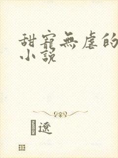 甜宠无虐的军婚小说