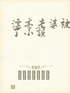 漂亮老婆被玩坏了小说