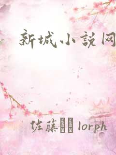 新城小说网