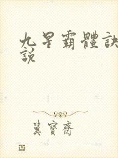 九星霸体诀 小说