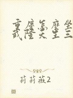 重庆怎么坐车去武隆天生三桥