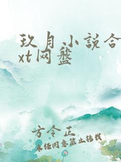 玖月小说合集txt网盘