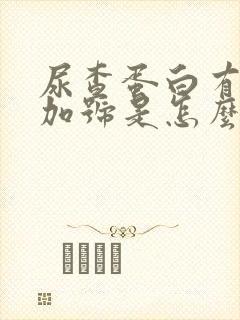 尿查蛋白有3个加号是怎么回事