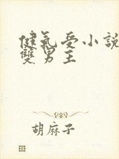 健气受小说推荐双男主