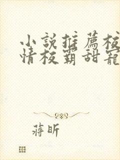 小说推荐校园言情校霸甜宠