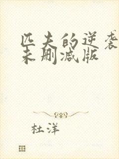 匹夫的逆袭小说未删减版