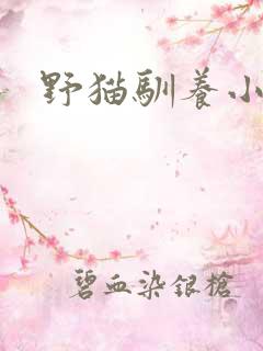 野猫驯养小说