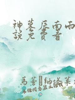 神墓辰南雨馨小说免费看