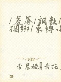 /羞辱/调教/捆绑/束缚小说