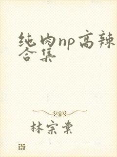 纯肉np高辣文合集