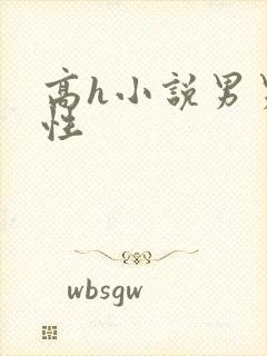 高h小说男男双性