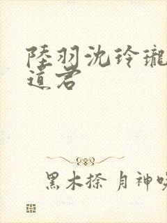 陆羽沈玲珑绝世道君