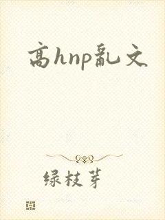 高hnp乱文