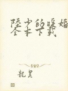 陆少的暖婚新妻全本下载