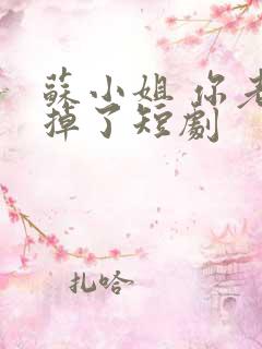 苏小姐 你老公掉了短剧