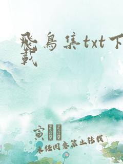 飞鸟集txt下载