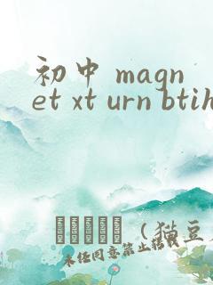 初中 magnet xt urn btih