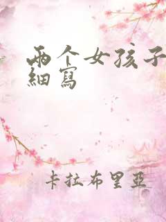 两个女孩子开车细写