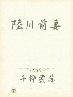 陆川前妻