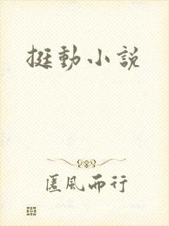 挺动小说