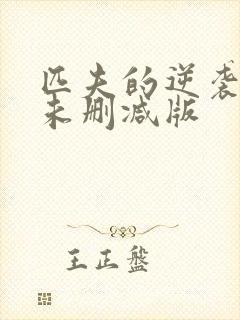 匹夫的逆袭小说未删减版