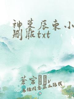 神墓辰东小说未删版txt