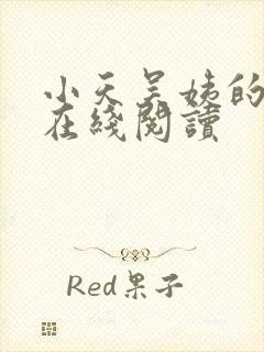 小天吴姨的小说在线阅读