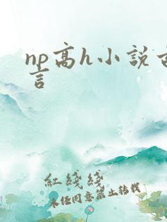 np高h小说古言