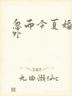 忽而今夏婚后番外