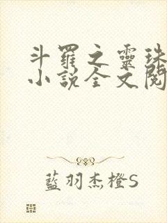 斗罗之灵珠神剑小说全文阅读