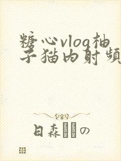 糖心vlog柚子猫内射频