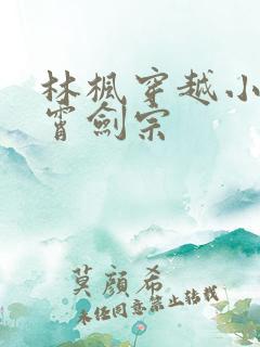 林枫穿越小说神霄剑宗