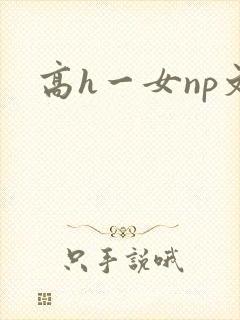 高h一女np文