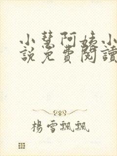 小慧阿姨小辉小说免费阅读最新章节