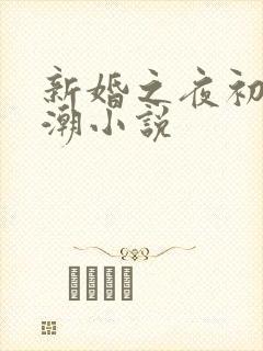 新婚之夜初尝高潮小说