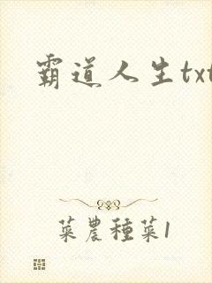 霸道人生txt