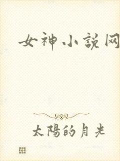 女神小说网