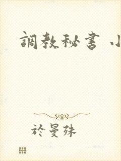 调教秘书 小说
