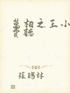 万相之王小说免费听