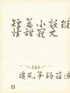 短篇小说推荐言情甜宠文