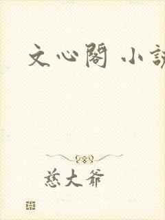 文心阁 小说