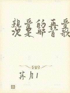 亲爱的再爱我一次是哪首歌的歌词
